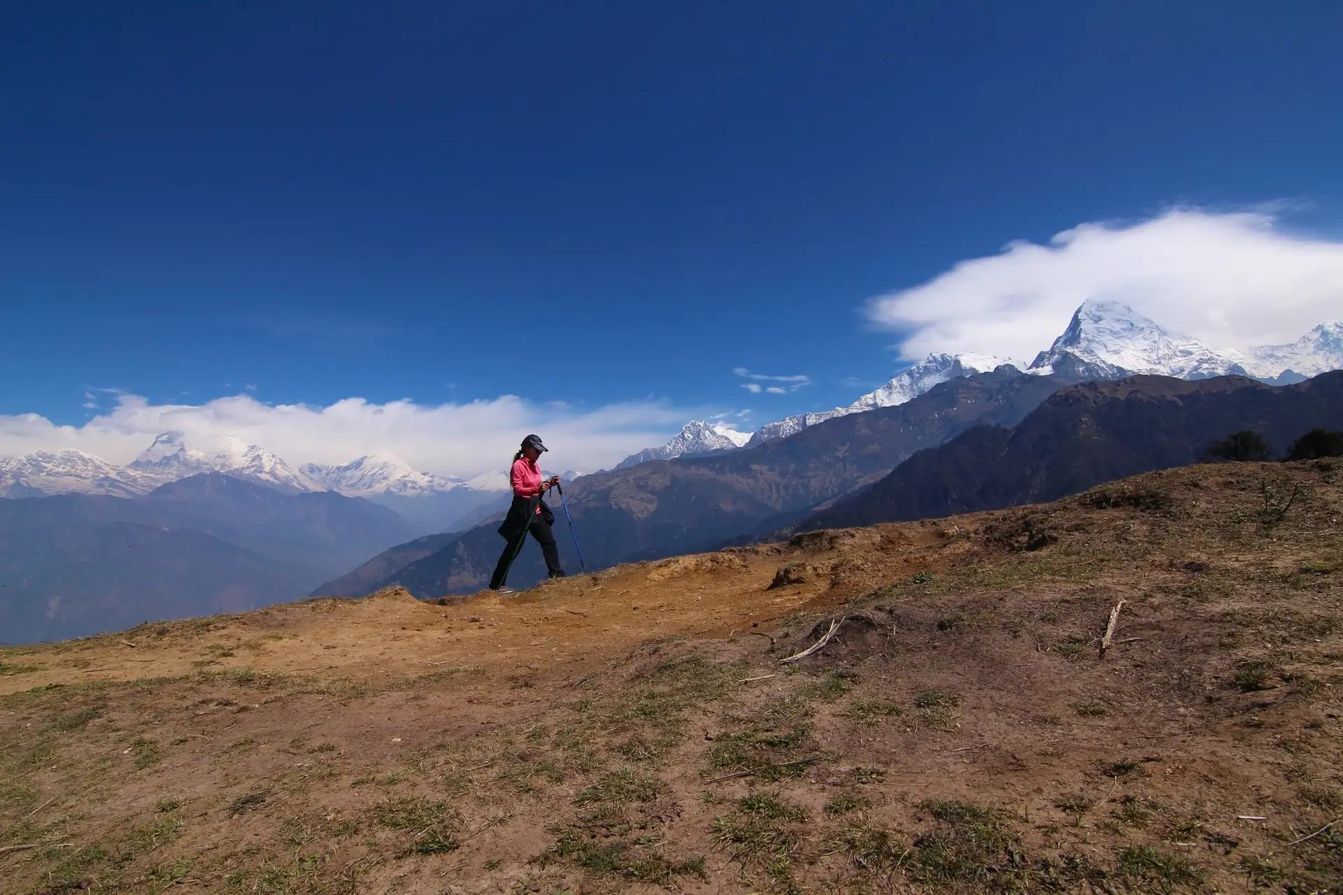 Women hiking with backpack holding trekking sticks high in the mountains covered with snow in summer. Landscape observation during a short break